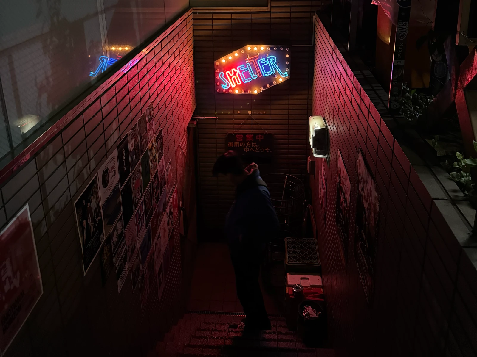 A neon Shelter sign above a basement stairway.
